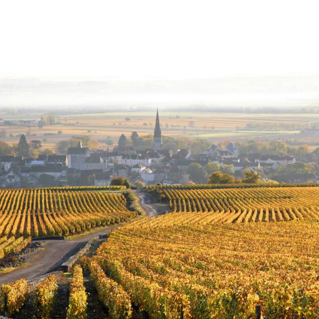 vtc bourgogne franche comté Beaune